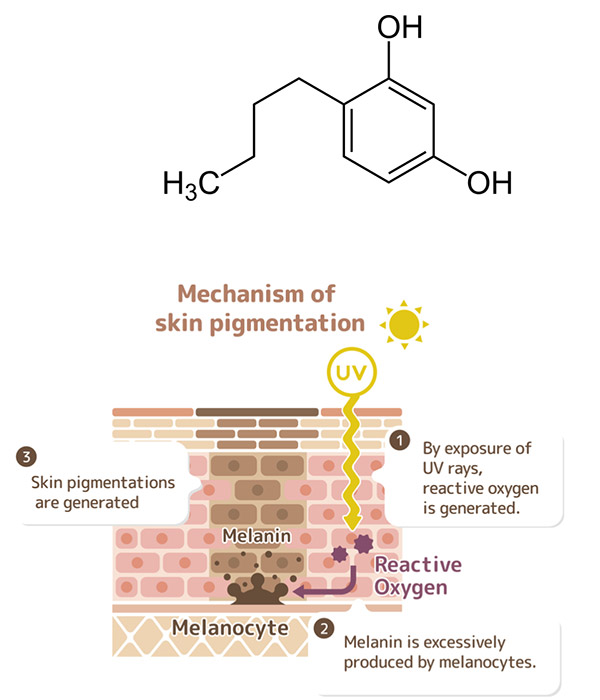 fadeout corrects hyperpigmentation